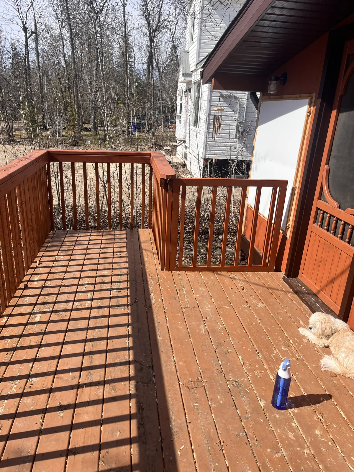 Lakeside Cabin photo